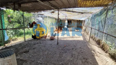 Rustic Finca in Trigueros photo 17