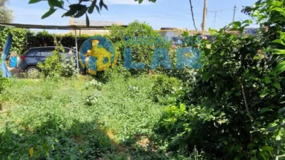 Rustic Finca in Trigueros photo 18
