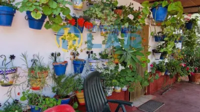 Rustic Finca in Trigueros photo 9