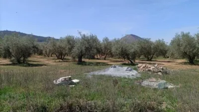 Rustic finca on Calle La Zanja photo 10