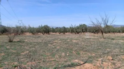 Rustic finca on Calle La Zanja photo 15