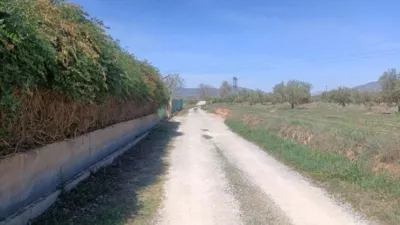 Rustic finca on Calle La Zanja photo 7