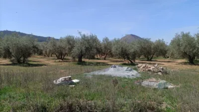 Rustic farm on Calle La Zanja photo 11