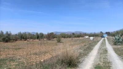 Rustic farm on Calle La Zanja photo 4