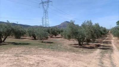 Rustic farm on Calle La Zanja photo 5