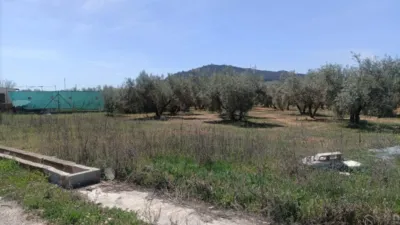 Rustic farm on Calle La Zanja photo 6