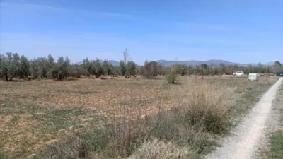 Rustic farm on Calle La Zanja photo 9