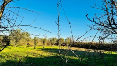 Rustic Finca in Plaza de la Azucarera photo 13