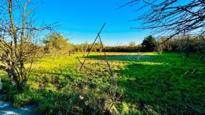 Rustic Finca in Plaza de la Azucarera photo 14