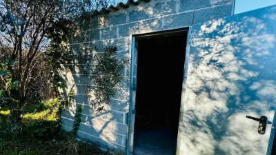 Rustic Finca in Plaza de la Azucarera photo 16