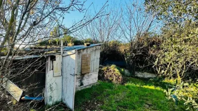 Rustic Finca in Plaza de la Azucarera photo 18