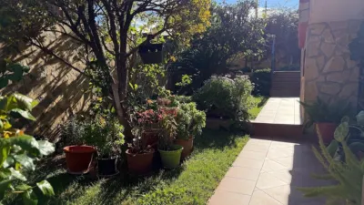 Chalet in Las Pedrizas photo 45