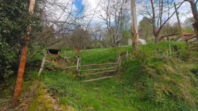 Rustic house on Calle La Longa, No. 3 photo 23