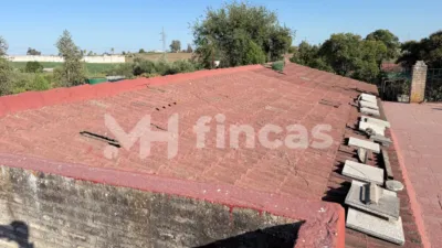 Rustic finca at Calle Osa Mayor, 40 photo 31