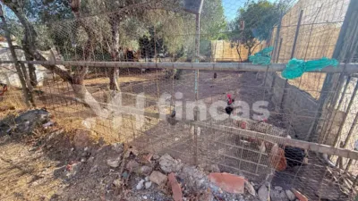 Rustic finca at Calle Osa Mayor, 40 photo 39