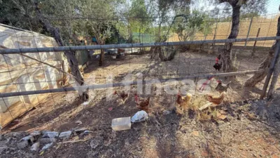 Rustic finca at Calle Osa Mayor, 40 photo 40