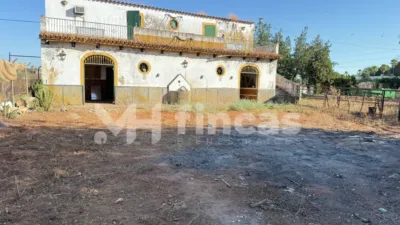 Rustic finca at Calle Osa Mayor, 40 photo 42