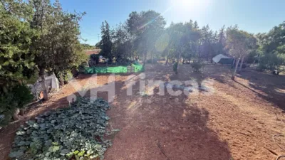 Rustic finca at Calle Osa Mayor, 40 photo 50