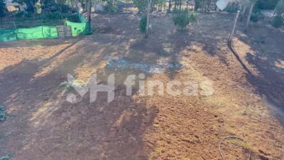 Rustic finca at Calle Osa Mayor, 40 photo 54