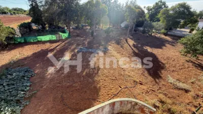 Rustic finca at Calle Osa Mayor, 40 photo 55