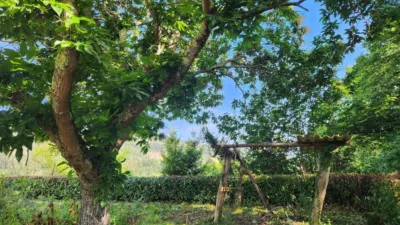 Terreno en venta en Calle Trasanquelos, Número 0 - Vista 4