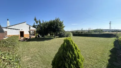 Rustic finca in Camino Galoche photo 18