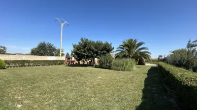 Rustic finca in Camino Galoche photo 31