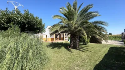 Rustic finca in Camino Galoche photo 32