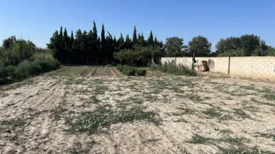 Rustic finca in Camino Galoche photo 34
