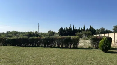 Rustic finca in Camino Galoche photo 36