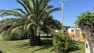 Rustic finca in Camino Galoche photo 39