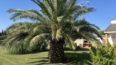 Rustic finca in Camino Galoche photo 40