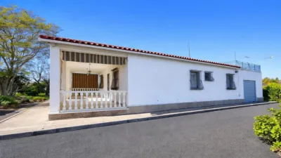 Casa – Elx - Elche - Vista 4