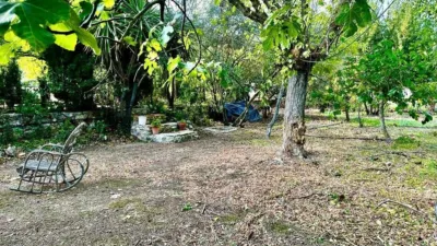 House in Carcabuey photo 35