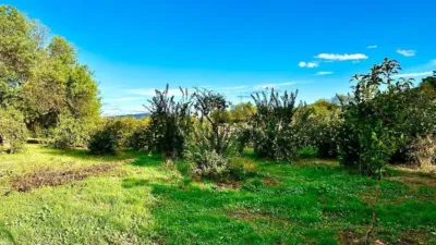 House in Carcabuey photo 37