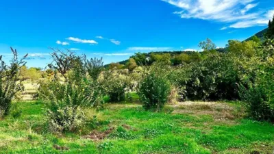 House in Carcabuey photo 40