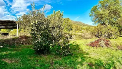 House in Carcabuey photo 43