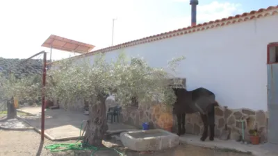 Rustic farm in Pozoblanco photo 12