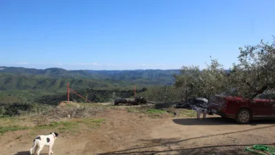Rustic farm in Pozoblanco photo 15