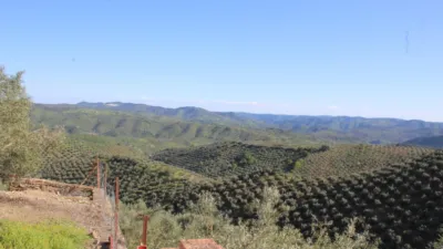 Rustic farm in Pozoblanco photo 4