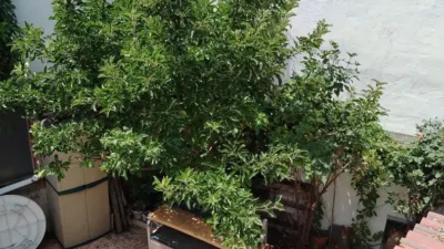 Townhouse for sale in Fuentepelayo photo 32