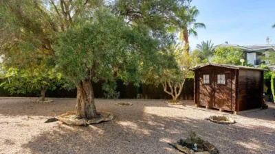 Chalet en Cabo Roig photo 42