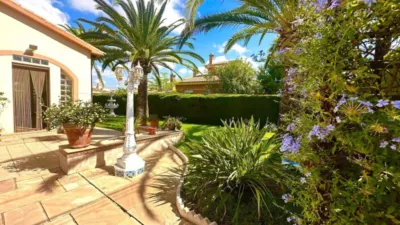 Chalet on Calle de Caribe photo 5