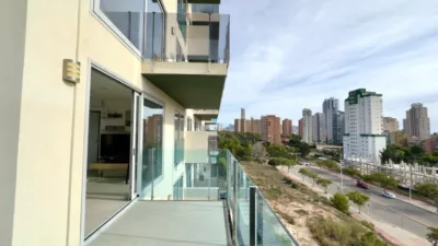 Apartment on Carrer Benimantel photo 30