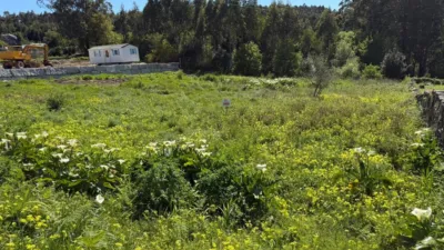Terreno en venta en Ribeira - Vista 5