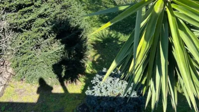 House in Boiro photo 10