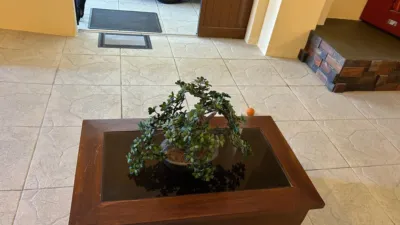 House in Boiro photo 25