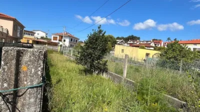 House in Palmeira photo 36