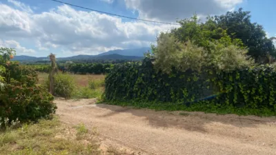 Rustic Finca in Barranc Fondo photo 12