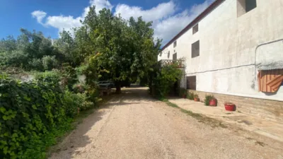 Rustic Finca in Barranc Fondo photo 13